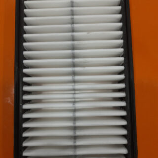 Air Filters(Alto/ Wagon  R  (Petrol))(RAF: 0028)