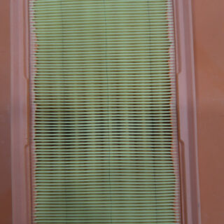 Air Filters(Santro  Xing- Petrol)