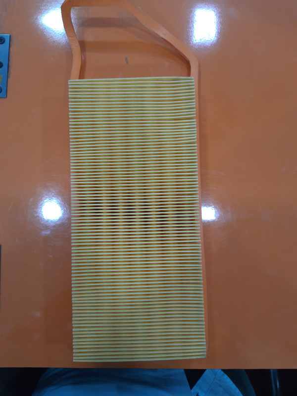 Air Filters(Ford- Fiesta, Figo, Fusion (Diesel) ) - Image 2