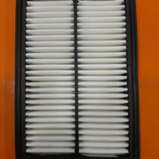 Air Filters(Santro Lpg)