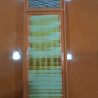 Air Filters(Pu Diesel-Tiago Tigor (D))