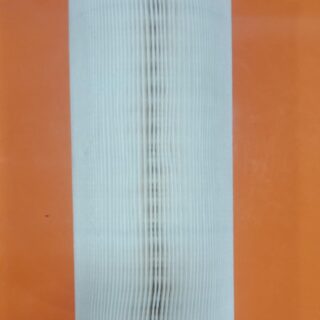 Air Filters(Tata  Super  Ace)