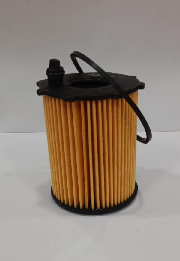 Oil Filters((Ford) Fiesta, Figo, Fusion-Diesel) - Image 2