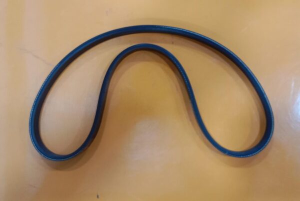(PIX)BELT (BOLERO BS-6(PS)
