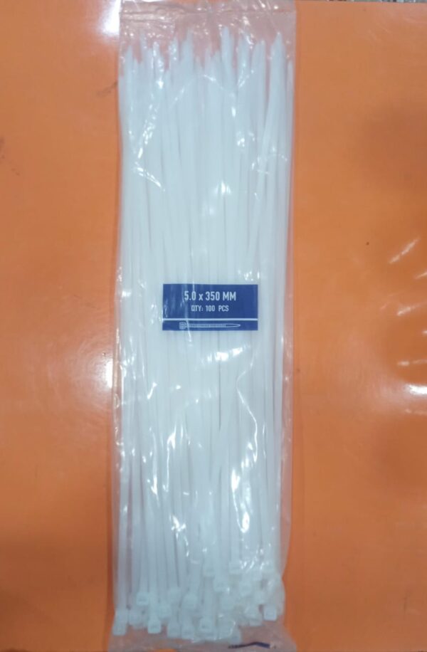 TAGS 300MM (100PCS)